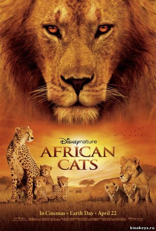 Африканские кошки: Королевство смелости (2011) онлайн смотреть бесплатно